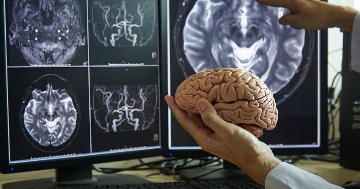 Your Brain Changes in Stages as You Age, Study Finds