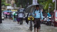 Chennai Weather Today: Yellow Alert Issued For November 19, Heavy Rain Expected In Several TN Districts