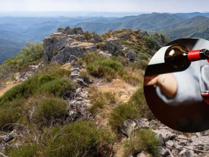 Un ciclista de 77 años sobrevivió tres días sólo tomando vino tras caer por un barranco