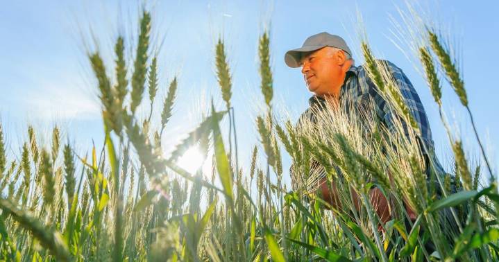 Utah Tech, agri-tech program co-host webinar designed to shed light on innovation, entrepreneurship