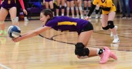 SEC. V GIRLS VOLLEYBALL: York rolls back to 'D1' final