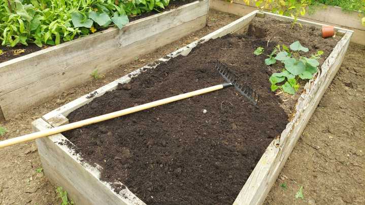 What To Do With Soil From Raised Garden Beds In Winter (Toss Or Keep)