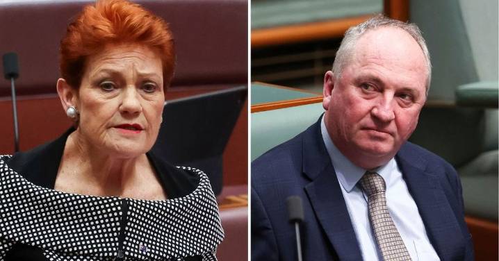 Pauline Hanson plans to woo Barnaby Joyce to One Nation over a hearty dinner