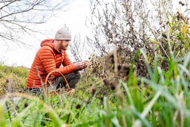 Man says he’s saving £200 a month by foraging for nettles and eating acorn pancakes