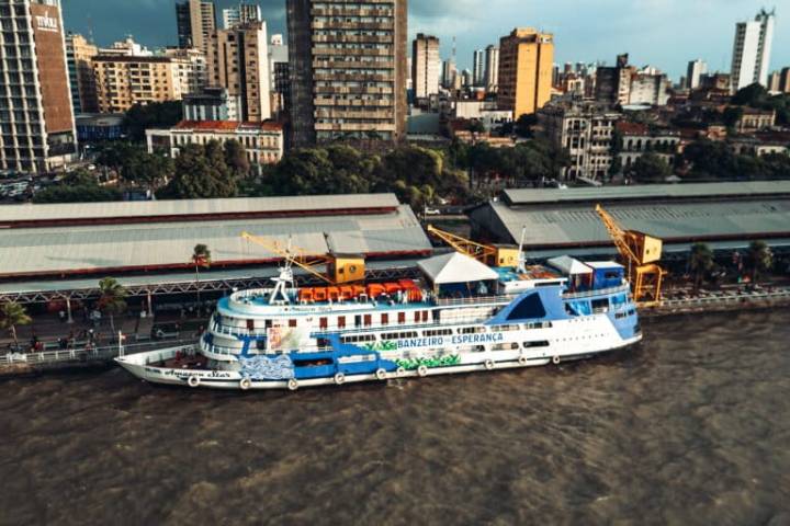 A forest worth more standing: Virgilio Viana on what It will take to protect the Amazon