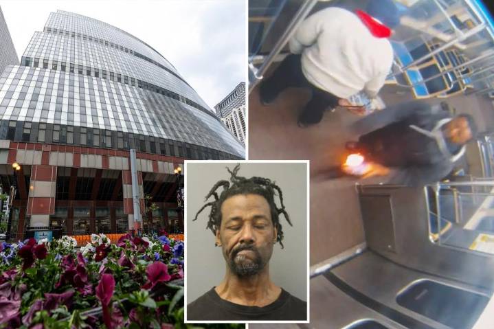 Violent firebug who allegedly set woman ablaze on Chicago train has another arson rap to his name -