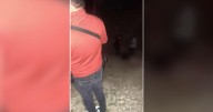Madres Buscadoras de Nogales encuentran cuerpo en Mascareñas
