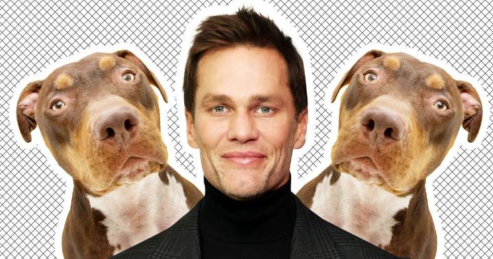 How Did Tom Brady Clone His Family Dog?