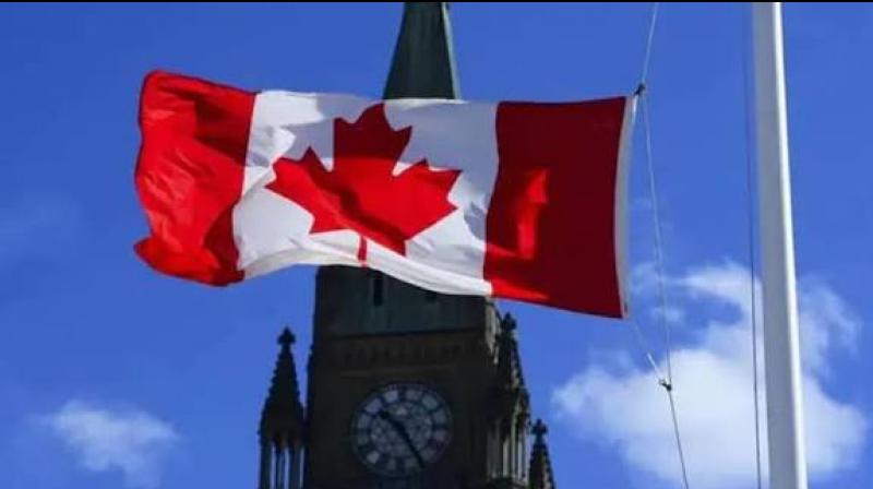 Canada's Mass Visa Cancellation Proposal: Concern for Indian and Bangladeshi Applicants