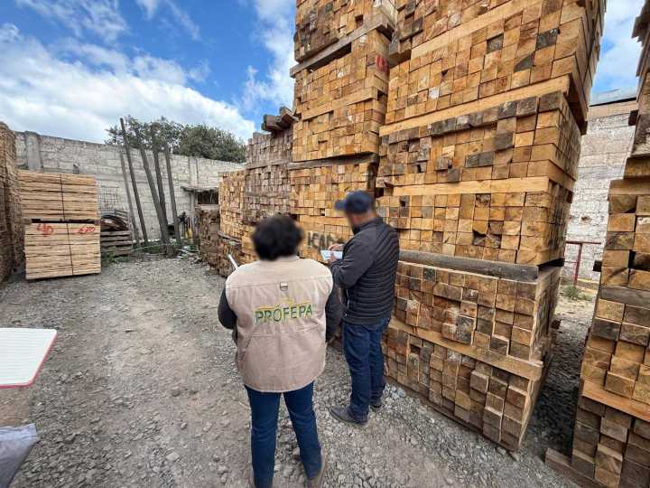 Clausuran aserradero iIegal en Agua Blanca