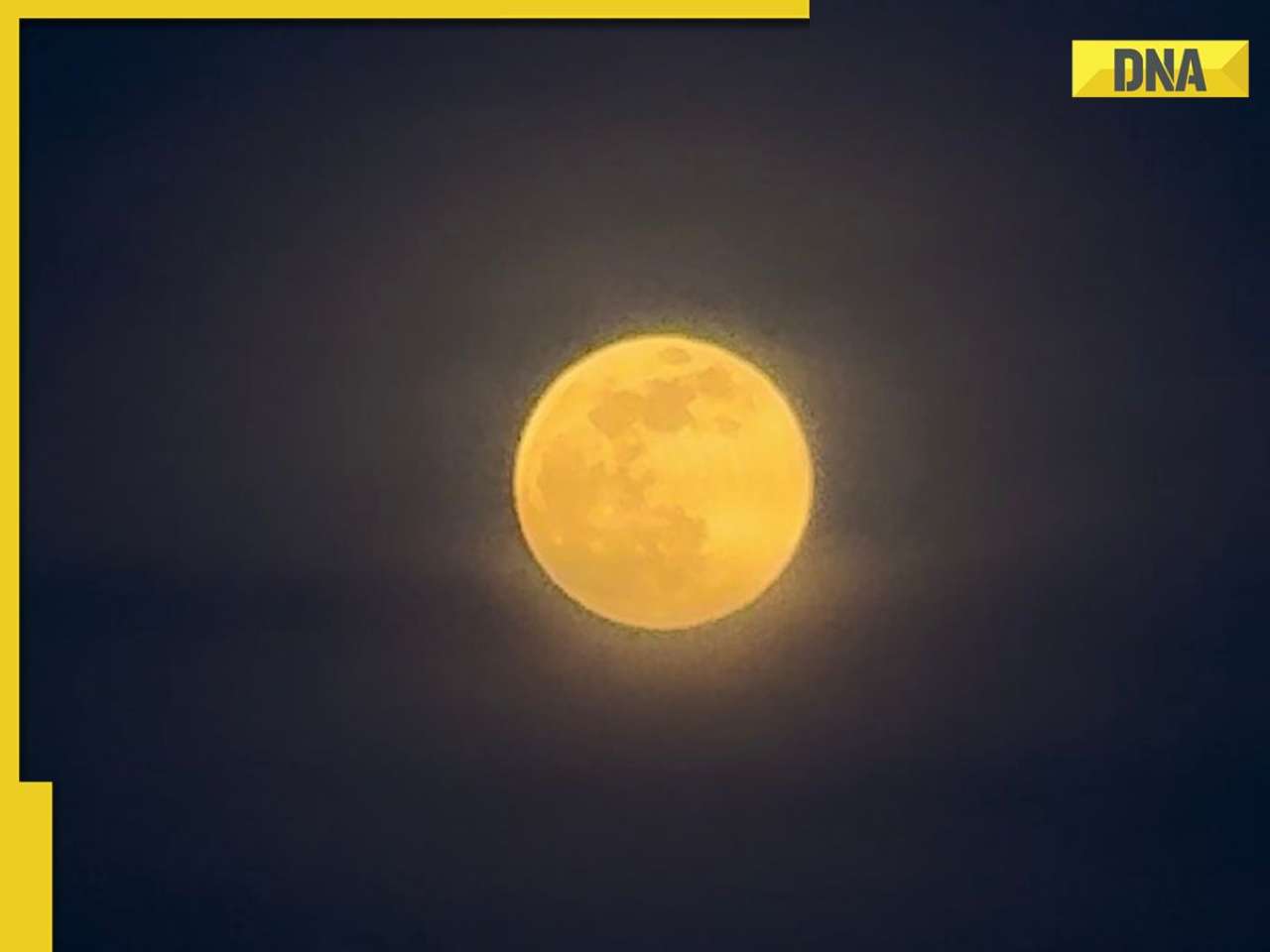 Stunning Beaver Moon illuminates night sky: See how the world witnessed Supermoo