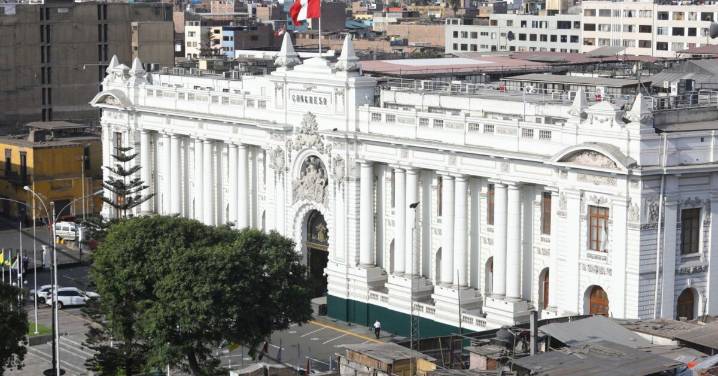 El rol de los senadores y diputados