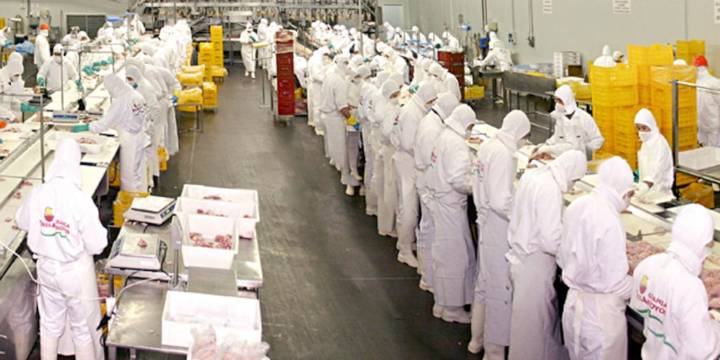 Una gigante avícola cerró una planta en Entre Ríos para bajar costos en plena crisis del sector: qué pasa con los empleos