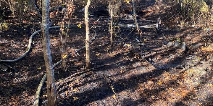 Chatham County Fire responds to vegetation fire in the 5900 block of Ogeechee Rd.