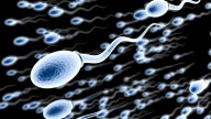 La IA encuentra espermatozoides ‘invisibles’ y se logra el primer embarazo