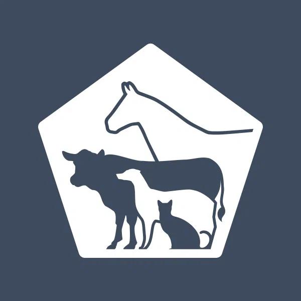 SaskSPCA raises concerns over proposed changes to animal welfare enforcement