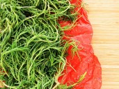 Cómo conservar frescos los romeritos: trucos para varios días