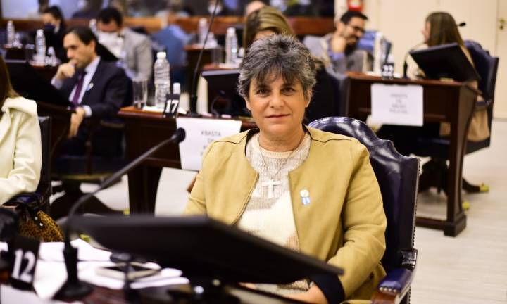 Neme criticó a la UCR y señaló que los diputados de ese partido juraron la Constitución Provincial sólo con reserva respecto a la reelección de Insfrán