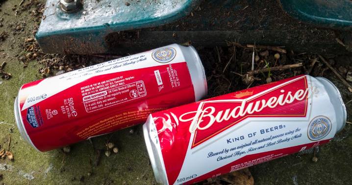 Idiot driver crashes car while 'peeing into can of Budweiser' as cops baffled