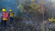 Bomberos de Santa Ana controlaron un incendio que avanzaba hacia el monte nativo