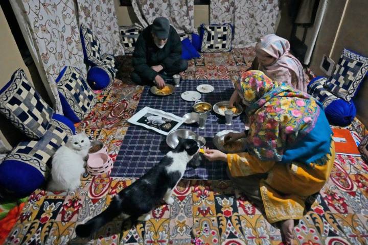 Reduce your pets’ carbon pawprint