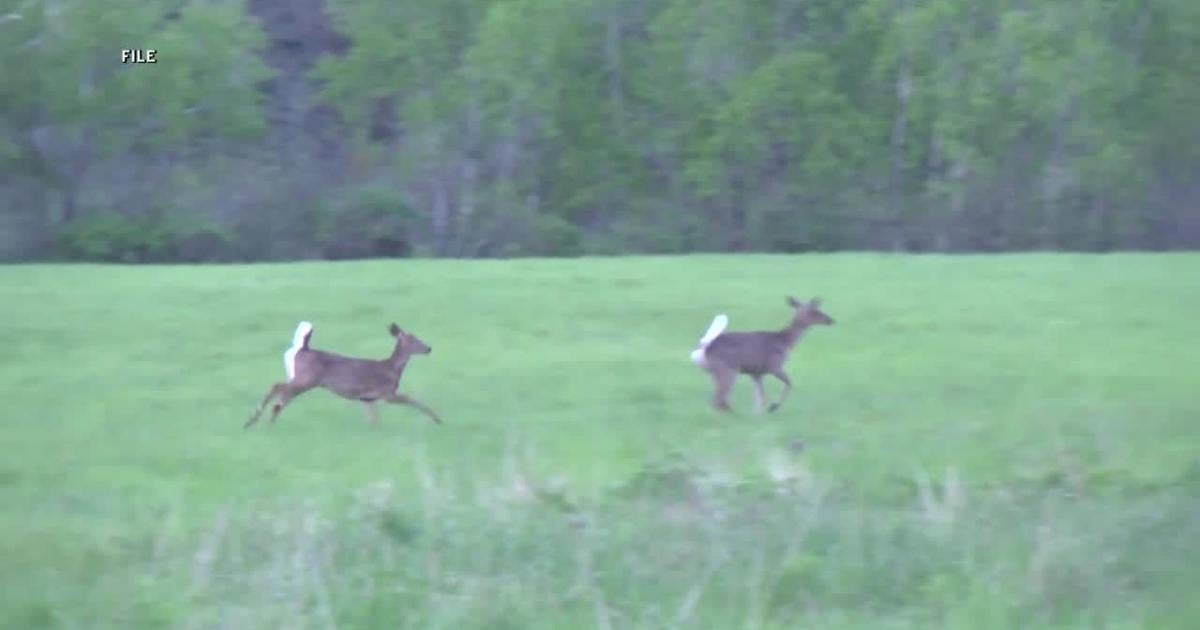 "Hunters for the Hungry" program provides wild game to those in need