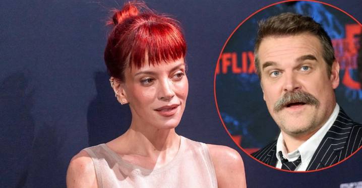 EXCLUSIVE: Lily Allen Furious Her Album Didn't Hurt David Harbour