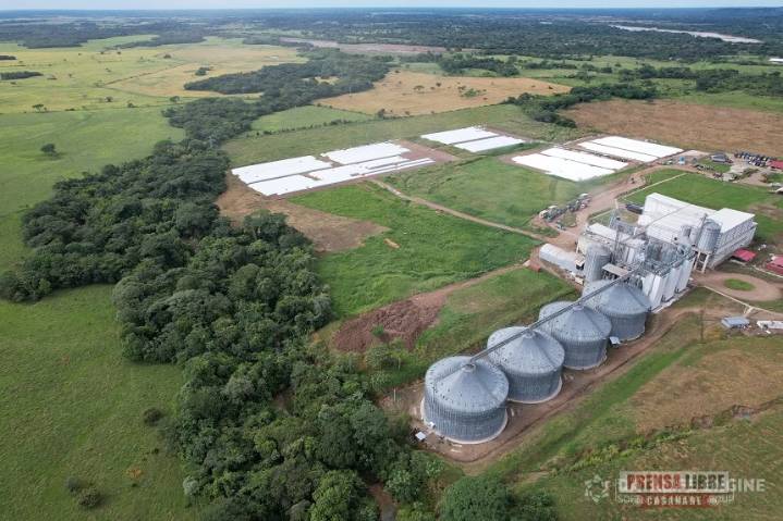 Avanza en Casanare proyecto de energía renovable para la producción arrocera