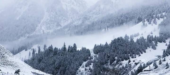 Hopes return for tourism revival as snow blankets Sonamarg