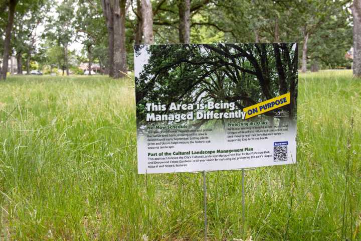 Nordyke asks city to create gift policy after anonymous donation for police 