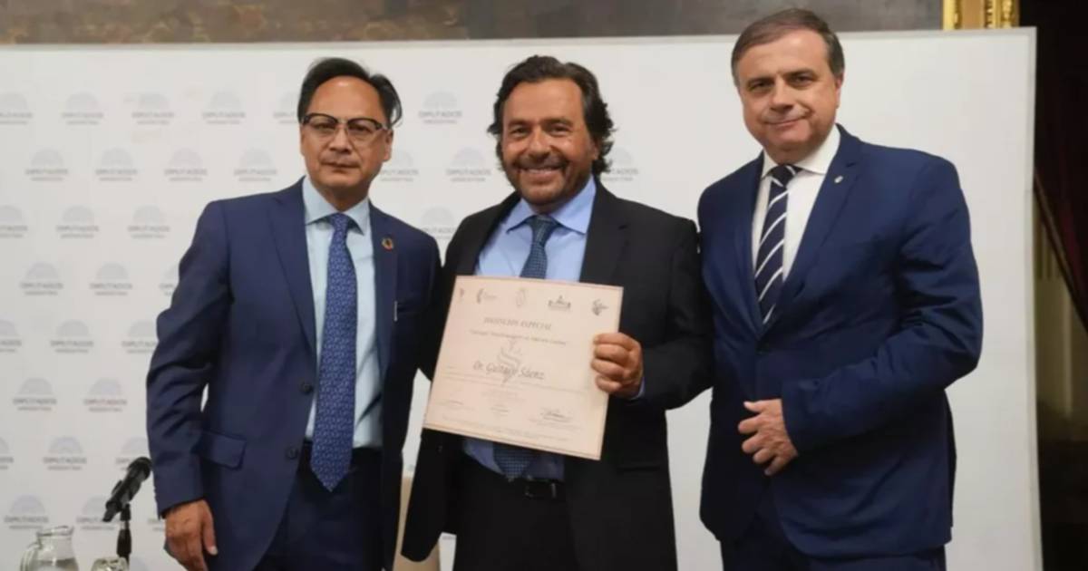 Diputados: toma forma un nuevo interbloque de gobernadores afines al Gobierno, captando desertores de UxP