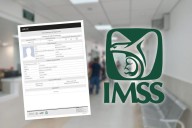 IMSS Digital: cómo obtener la constancia de vigencia de derechos y para qué sirve