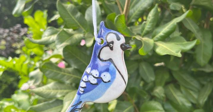 Holiday market organized by Eaton Fire survivor comes to Altadena this weekend