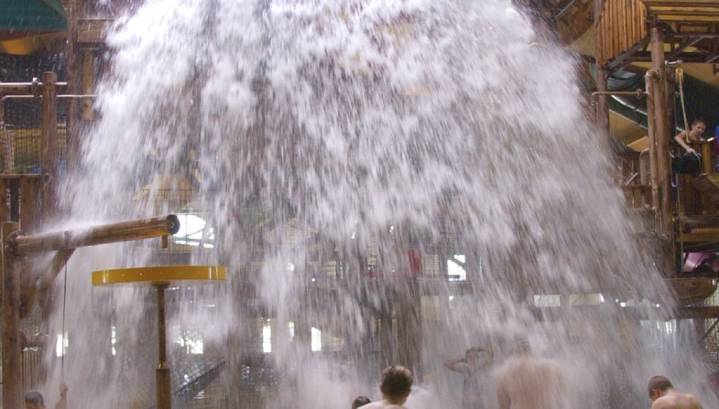 Nearly 50 cars vandalized at Great Wolf Lodge on Thanksgiving