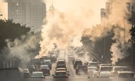 Breathing in polluted air daily? Here’s what it does to your lungs and body