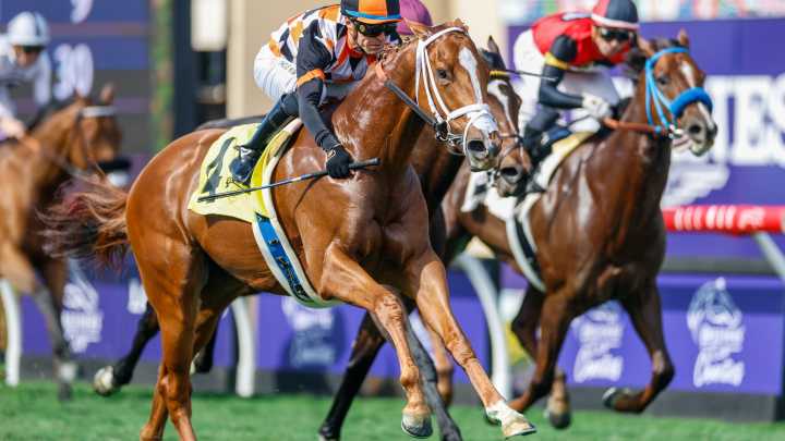 Ted Noffey wins Juvenile, becomes early favorite for Kentucky Derby 2026