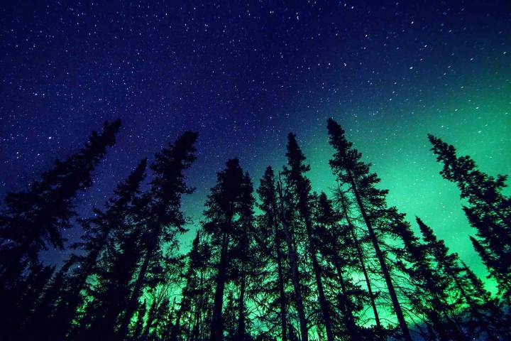 How to Watch the Northern Lights in These States Tonight