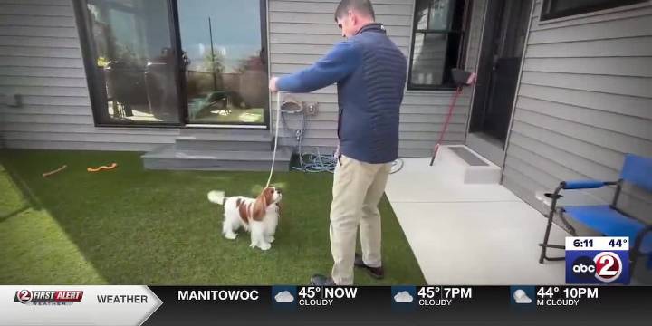 SMALL TOWNS: Algoma dog breeder, handler earns Westminster invite