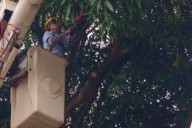 Atención de 665 casos del 1×10 del Buen Gobierno fortalece servicio eléctrico en Táchira