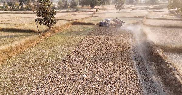 Eco India: Can spreading rock dust on farmlands help fight climate change?
