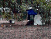 Photos: What happened during week 2 of homeless encampment cleanup surge