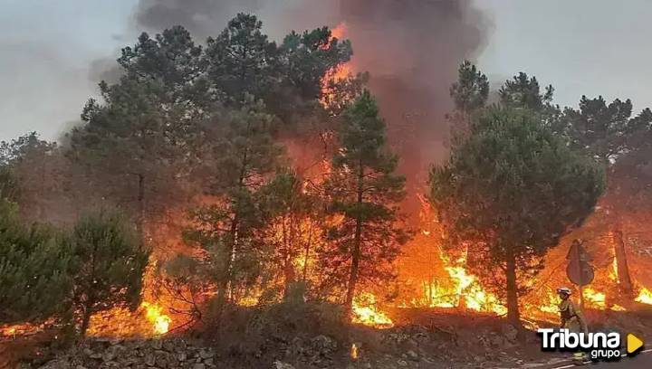 Los incendios forestales del pasado verano llegan a la USAL con una mesa redonda