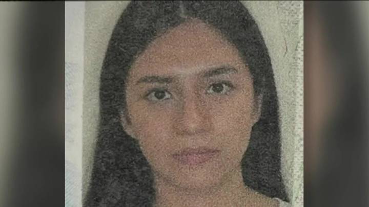 Babson student detained at Logan, deported while trying to go to Texas for Thanksgiving