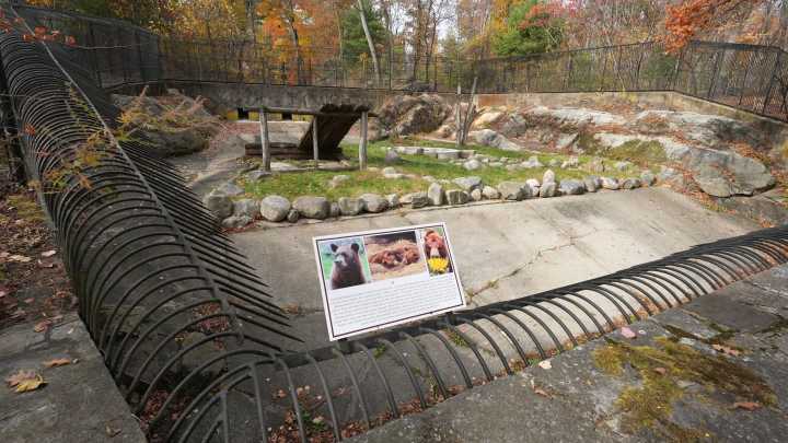 Bear Mountain Zoo plans 'bear pause' after deaths of Sadie and Pal