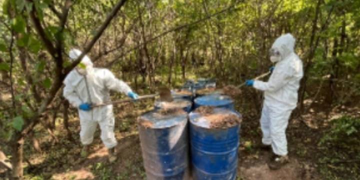 Autoridades desmantelan ocho laboratorios con 20 mil litros de drogas sintéticas en Sinaloa