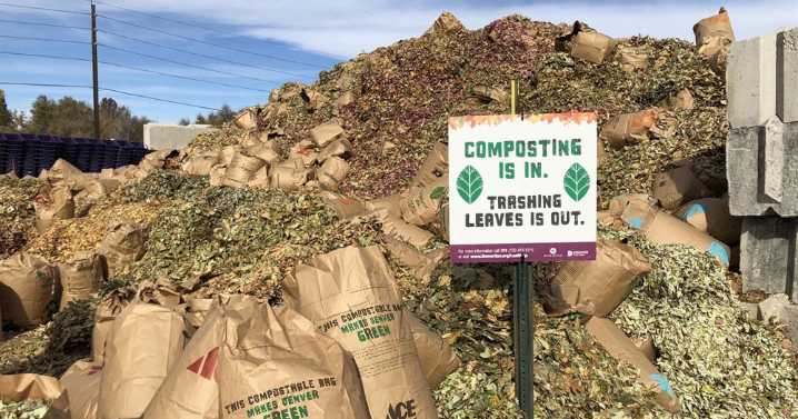 Denver encourages residents to drop off leaves, jack o'lanterns instead of throwing them away