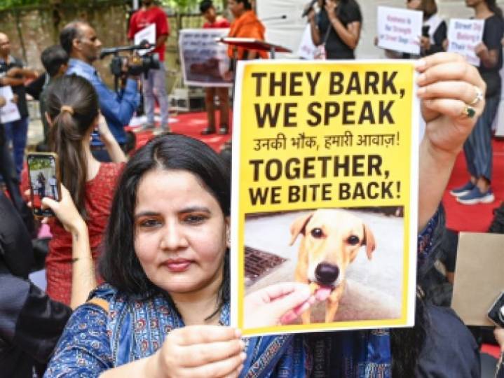 Supreme Court to hear stray dog case today:Chief Secretaries of states  UTs' will appear; court claims, 'When we ask for affidavit, they remain silent. No respect for our order.'