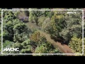 Roots For Rivers program uses newly planted tree to help buffer waterways