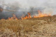 Stubble-burning has begun in Punjab, Haryana, worsening Delhi