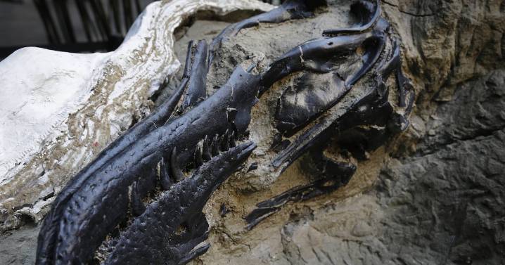 What is a nanotyrannus? What scientists recently discovered about the much